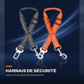 Harnais de sécurité auto pour chien — sangle élastique réfléchissante